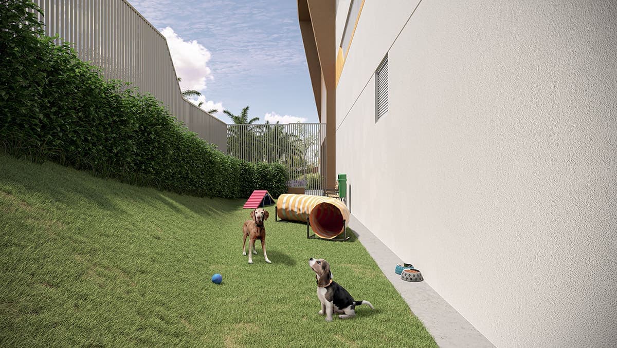 Perspectiva ilustrada do pet place